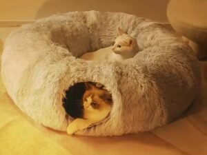 Plush Cat Bed with Tunnel for Indoor Cats Multifunctional