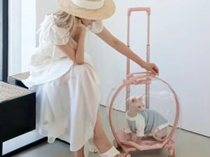 VETRESKA Pet Carrier with 2 Mats, Pink Pet Transport Luggage