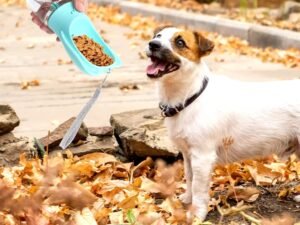 Food and Water Container pets Feeder
