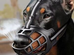 Big Dog Muzzle Mouth Cover Prevent Biting