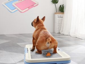 Boîte de Toilette Portable pour Chiens et Chats – Confort et Propreté Assurés