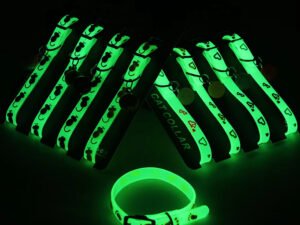 Collier Lumineux Fluorescent en Silicone pour Chats et Chiens – Anti-perte et Brillant