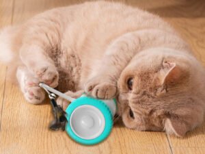 Jouet Interactif Équilibrage Mobile pour Chats et Chiens – Plume et Bâton Automatique