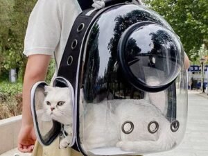 Sac de Transport Spatiale pour Animaux de Compagnie – Confort et Style