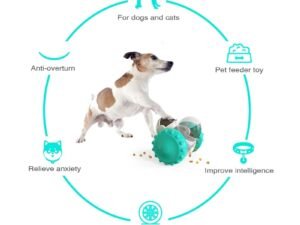 Gobelet Amusant pour Grands Chiens – Jouet d’Entraînement Interactif