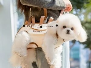Sac à Dos de Transport pour Chien – Confort et Praticité en Voyage
