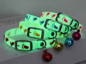 Collier Lumineux Fluorescent en Silicone pour Chats et Chiens – Anti-perte et Brillant