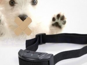 Collier Anti-aboiement Électrique Portable pour Chiens – Idéal pour la Marche en Plein Air