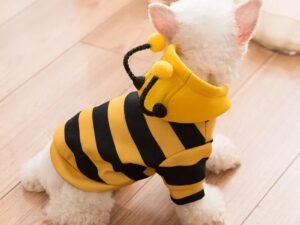 Sweat à Capuche pour Chiens – Costume de Transformation des Abeilles pour Automne et Hiver