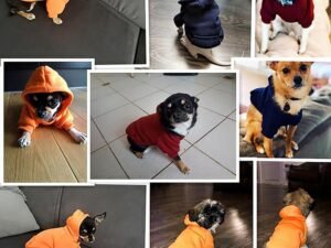 Sweat à Capuche à Deux Pattes pour Chien – Vêtement Élégant pour Petits et Moyens Chiens et Chats