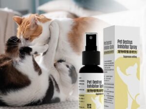 Spray Phéromone Calmant pour Chat – Solution Naturelle de 50ml