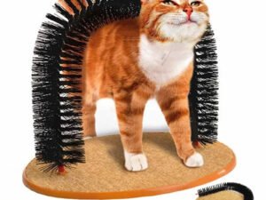 Jouet Auto-Groome Pamper Félin – Brosse à Friction et Tampon à Gratter pour Chats