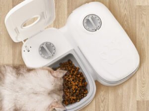 KOOBDIN Mangeoire Automatique pour Animaux de Compagnie – Grande Capacité 350ML