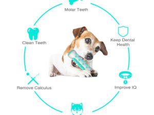 Bâton de Brosse à Dents Molaire pour Chien – Jouet Interactif et Nettoyant