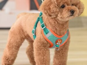 Harnais Réfléchissant Réglable pour Chiens et Chats – Confort et Sécurité en Promenade
