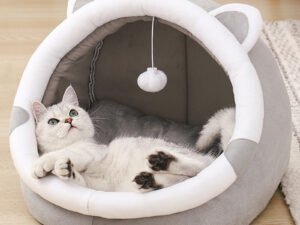 Lit pour Chat Mignon – Tapis de Tente Confortable pour Animaux de Compagnie