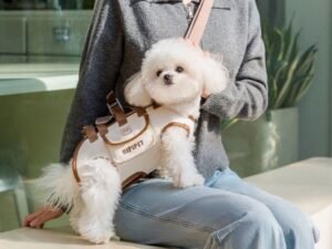 Sac à Dos de Transport pour Chien – Confort et Praticité en Voyage