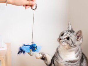Jouet Interactif d’Intérieur pour Chat – Tenture Murale avec Herbe-Aux-Chats